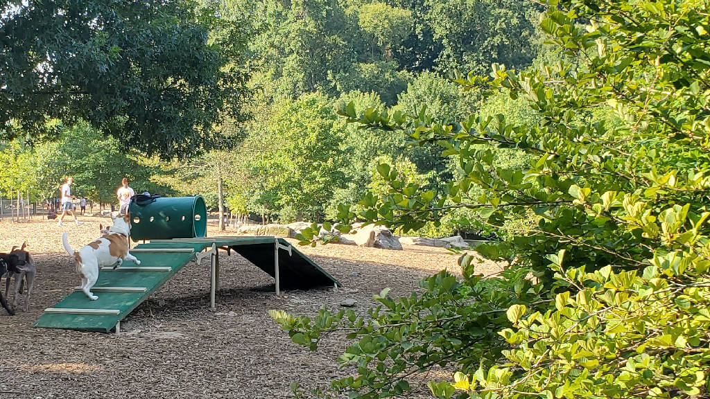 Piedmont Park, Midtown Discover Atlanta Area Parks