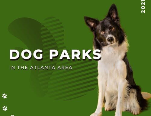 Atlanta Area Parks with Dog Parks