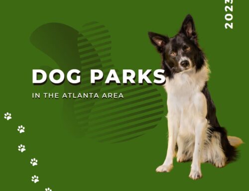 Atlanta Area Parks with Dog Parks