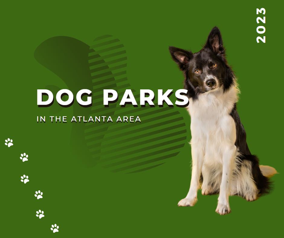 2023 Dog Parks Article Website