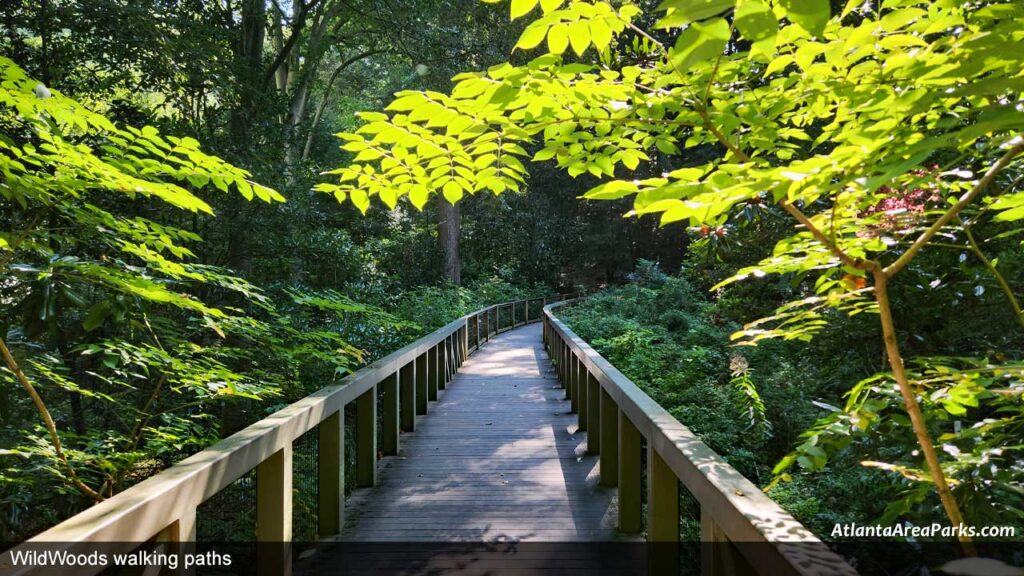 Atlanta-Dekalb-The-Fernbank-Museum-WildWoods-walking-paths