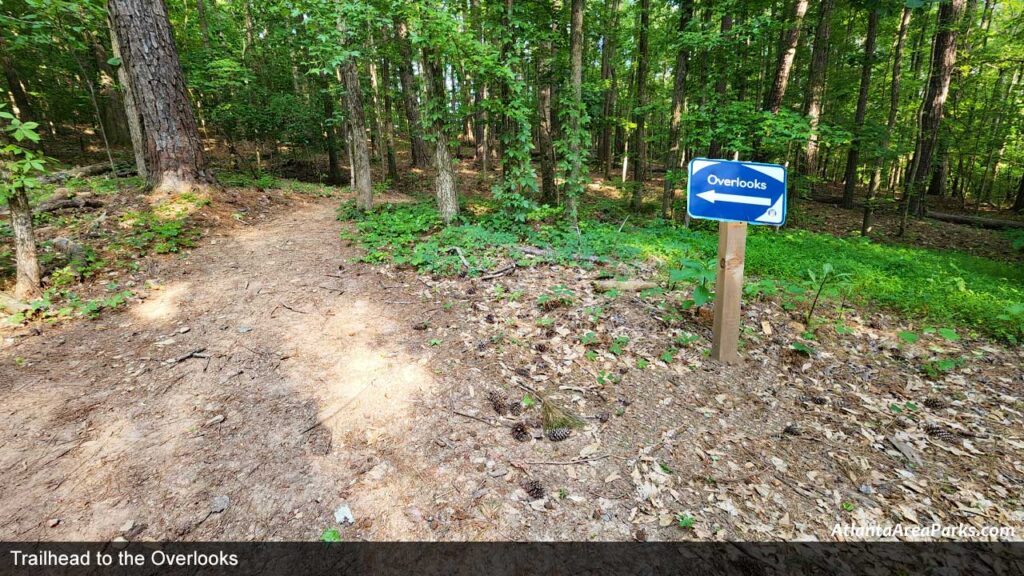 Discovery-Park-at-the-River-Line-Mableton-Cobb-Trail-to-overlook