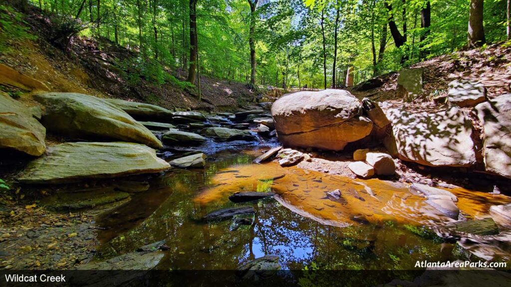 Dunwoody-Nature-Center-Dekalb-Wildcat-Creek