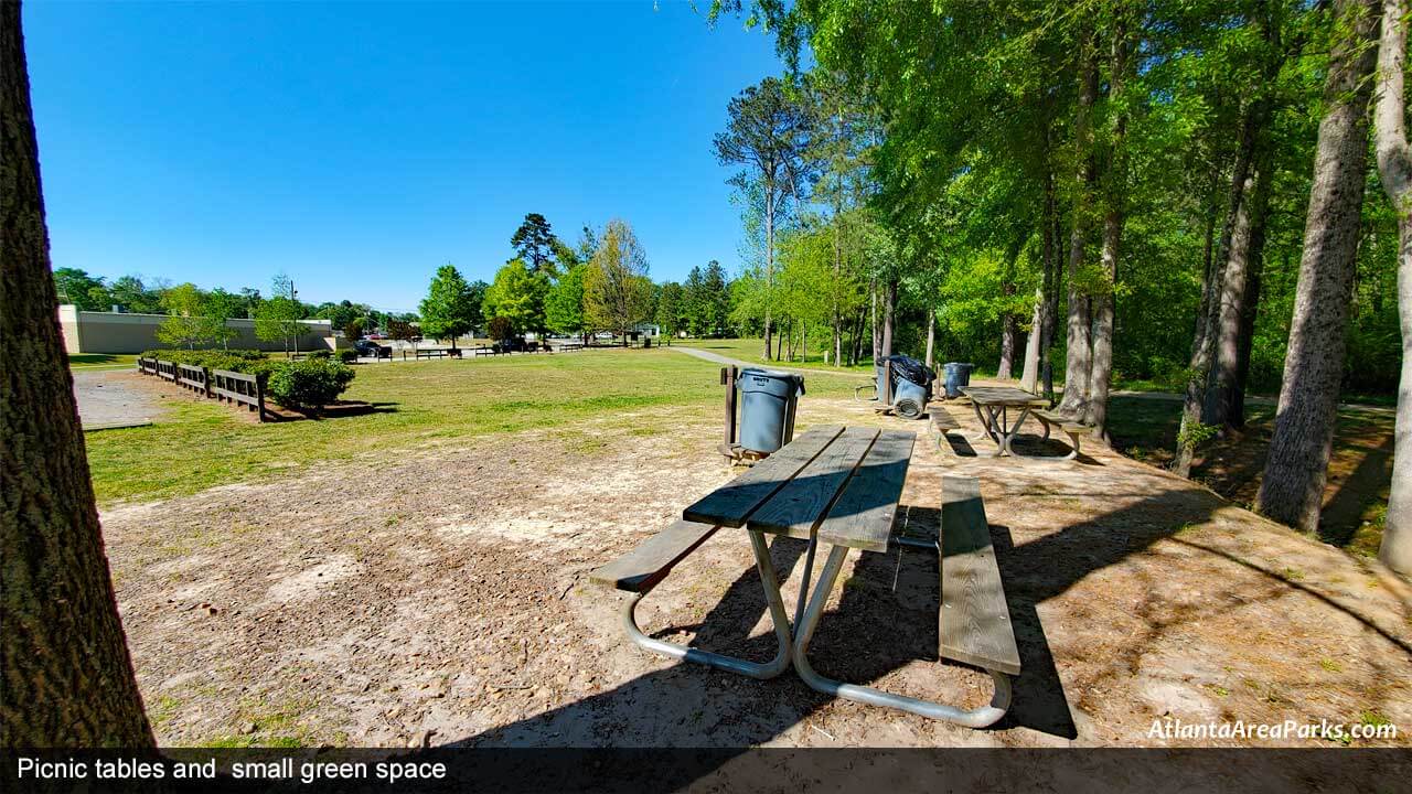 Louise-Suggs-Memorial-Park-Cobb-Austell-Frog-Rock-Disc-Golf-Park-picnic-tables-and-green-space