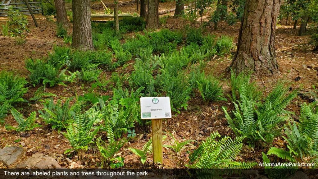 McFarlane-Nature-Park-Cobb-Marietta-Labeled-plants-and-trees-throughout-the-park