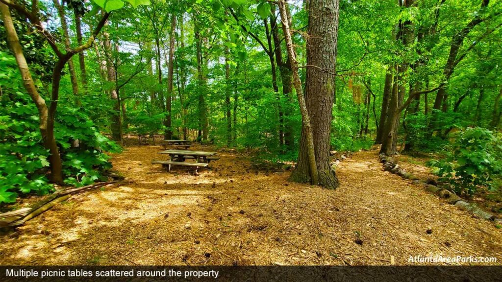 McFarlane-Nature-Park-Cobb-Marietta-Multiple-picnic-tables-scattered-around-the-property