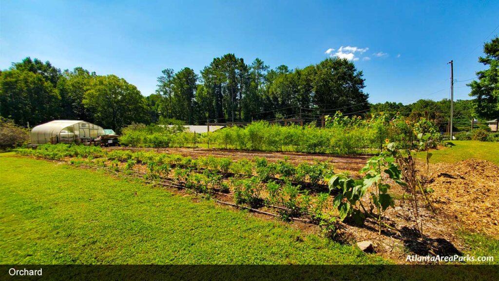 Old-Rucker-Park-and-Farm-Fulton-Alpharetta-Orchard