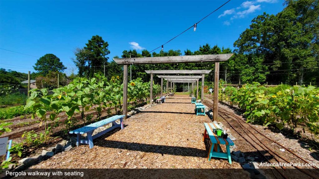 Old-Rucker-Park-and-Farm-Fulton-Alpharetta-Pergola-walkway-with-seating