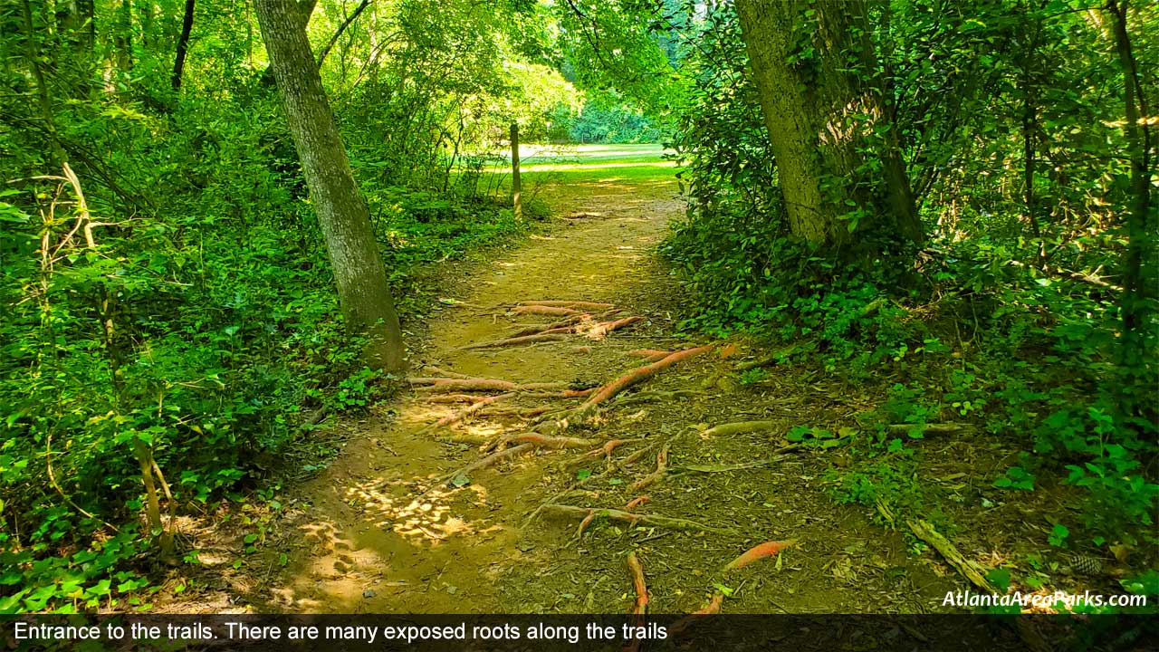 Ridgeview-Park-Fulton-Sandy-Springs-Entrance-to-the-trails.-There-are-many-exposed-roots