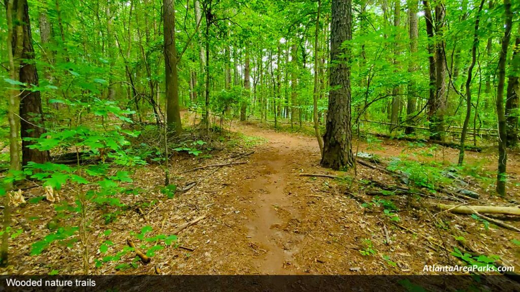 Sweat-Mountain-Park-Cobb-Marietta-Wooded-nature-trails-1