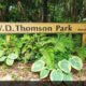 W.D. Thomson Park