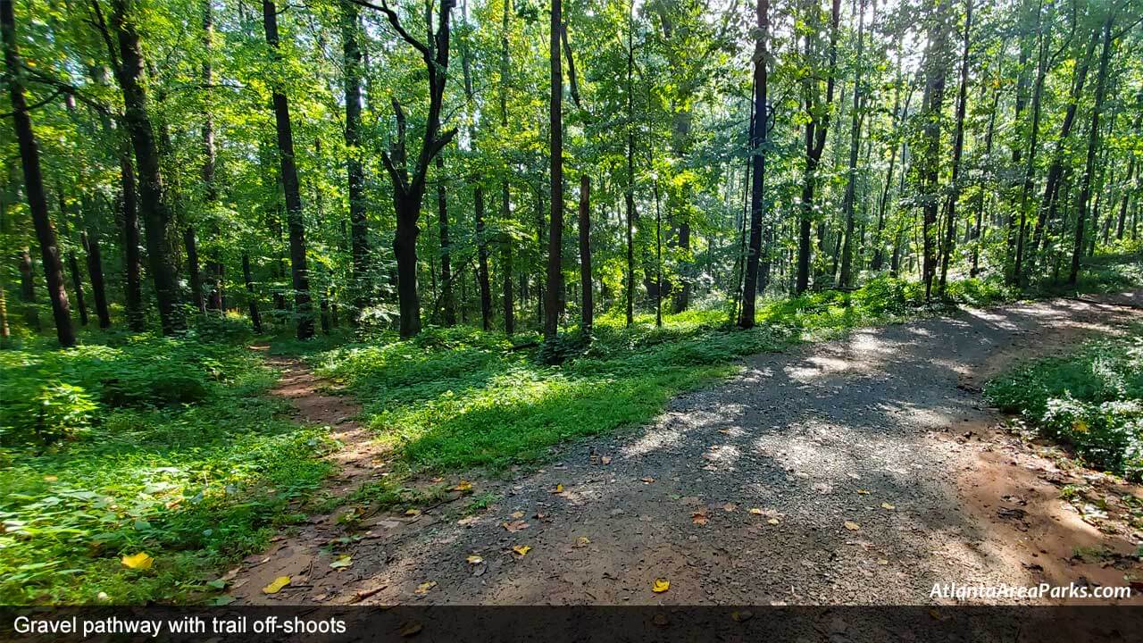 Wildwood-Park-Cobb-Marietta-Walking-path-with-off-shoots