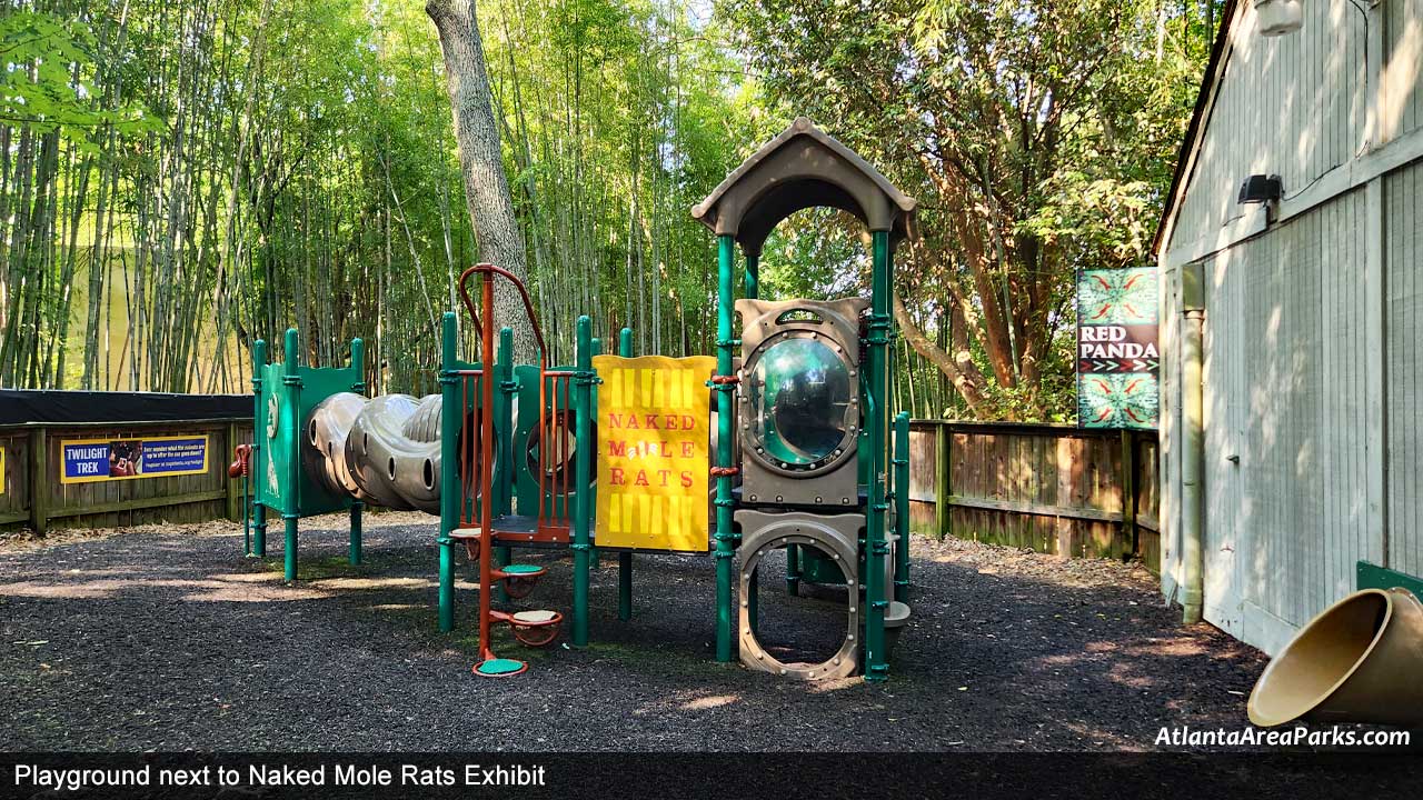 Zoo-Atlanta-Fulton-Playground-Mole-Rats